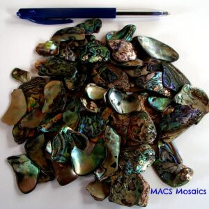 Paua Small